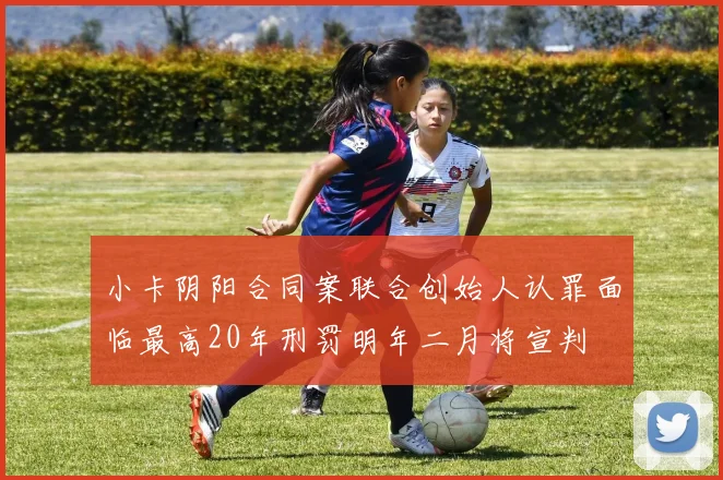 小卡阴阳合同案联合创始人认罪面临最高20年刑罚明年二月将宣判