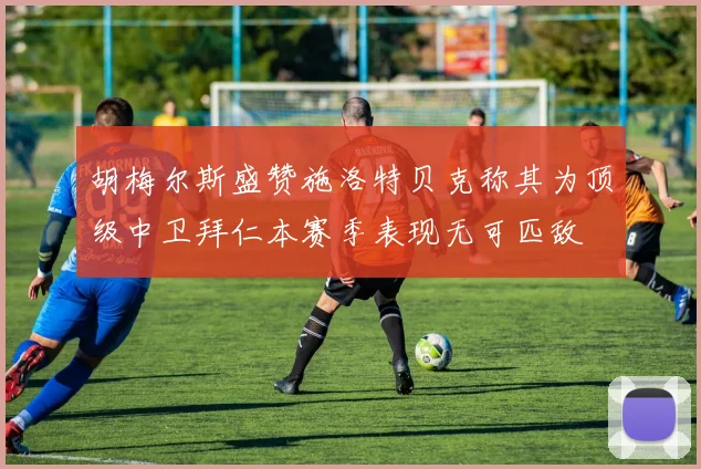 胡梅尔斯盛赞施洛特贝克称其为顶级中卫拜仁本赛季表现无可匹敌