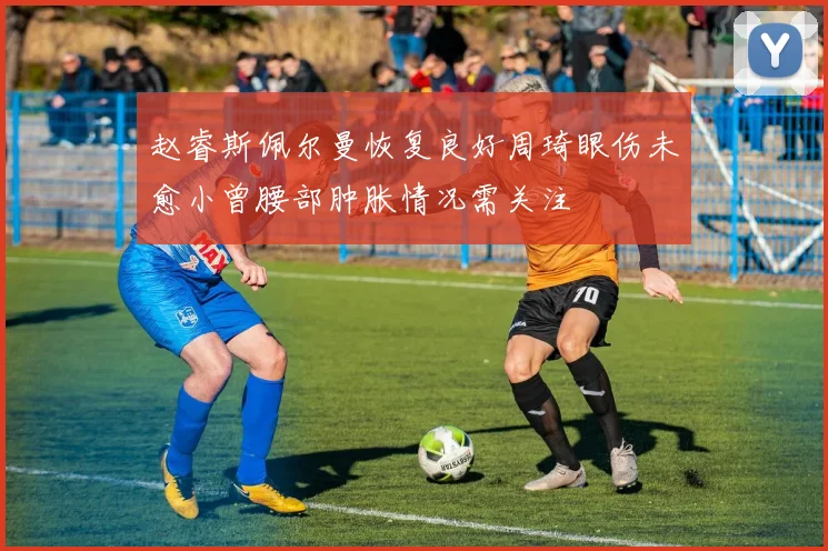 赵睿斯佩尔曼恢复良好周琦眼伤未愈小曾腰部肿胀情况需关注