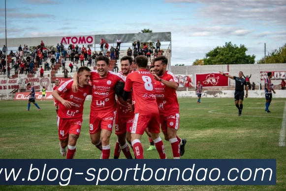 半岛体育平台生态图