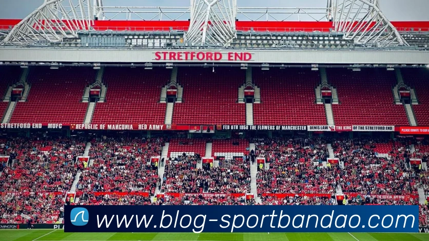 半岛体育APP 封面图